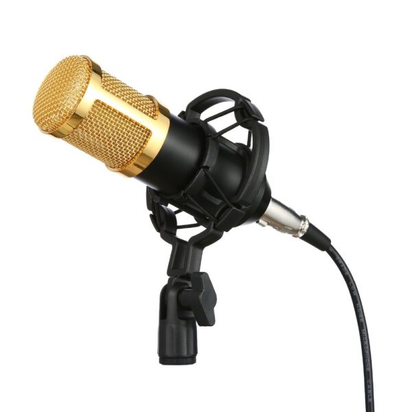 Condenser Microphone Kit – With Pop Filter & Microphone Stand_2